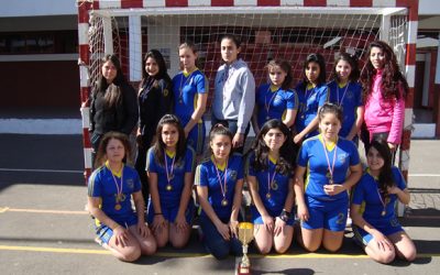 La Liga Deportiva Escolar de Handball de Aconcagua