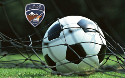 Campeonato de Babyfutbol a Beneficio «Ayuda Para Dar Vida»