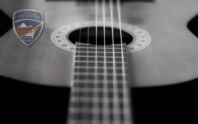 Gala Artística de Artes Musicales, Mención Guitarra 2014