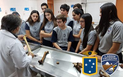 Docentes de Tecnología Médica-San Felipe dictan clase magistral a alumnos del Instituto Abdón Cifuentes